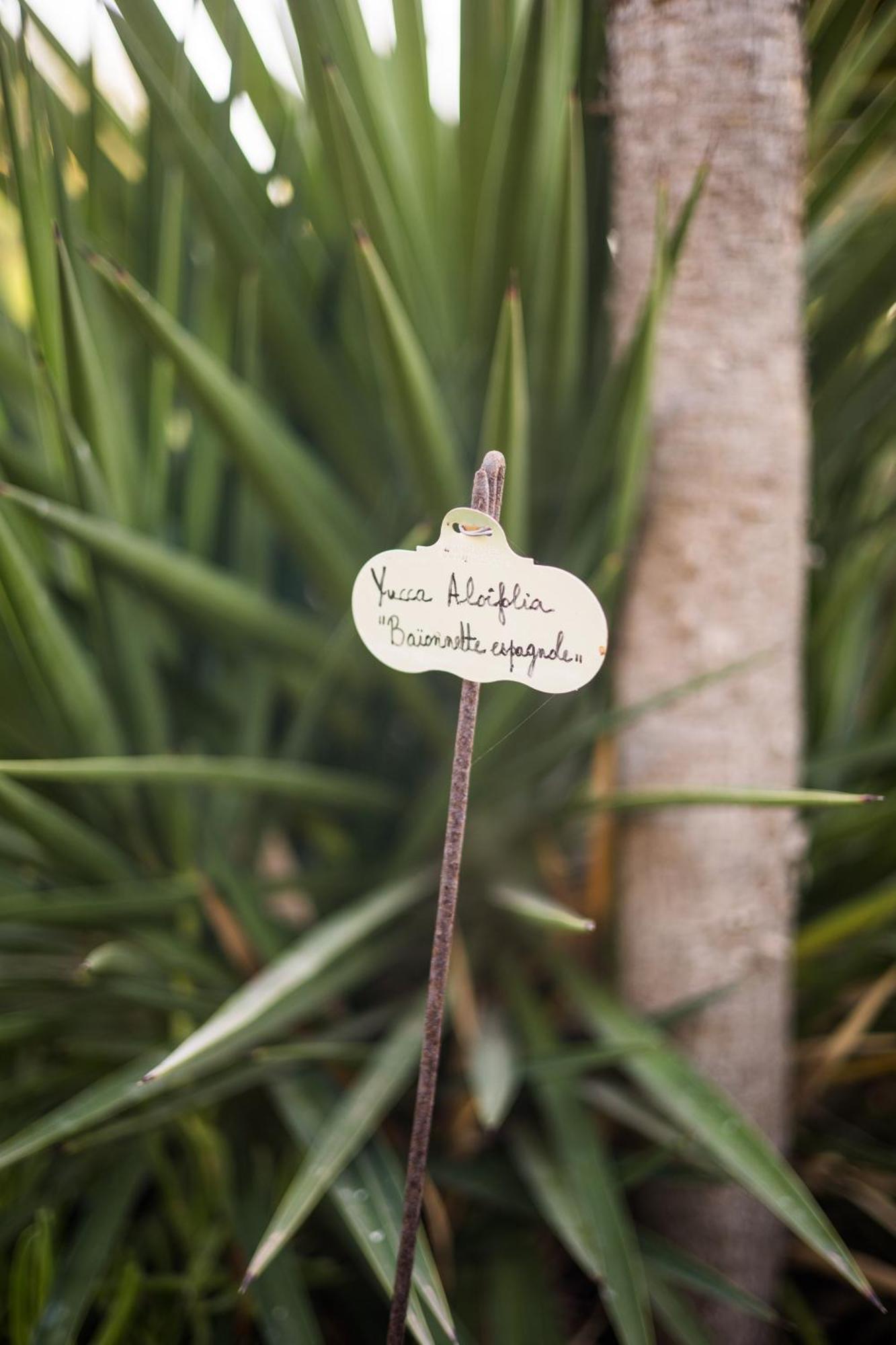 Dar Maktoub Bed & Breakfast อกาดีร์ ภายนอก รูปภาพ
