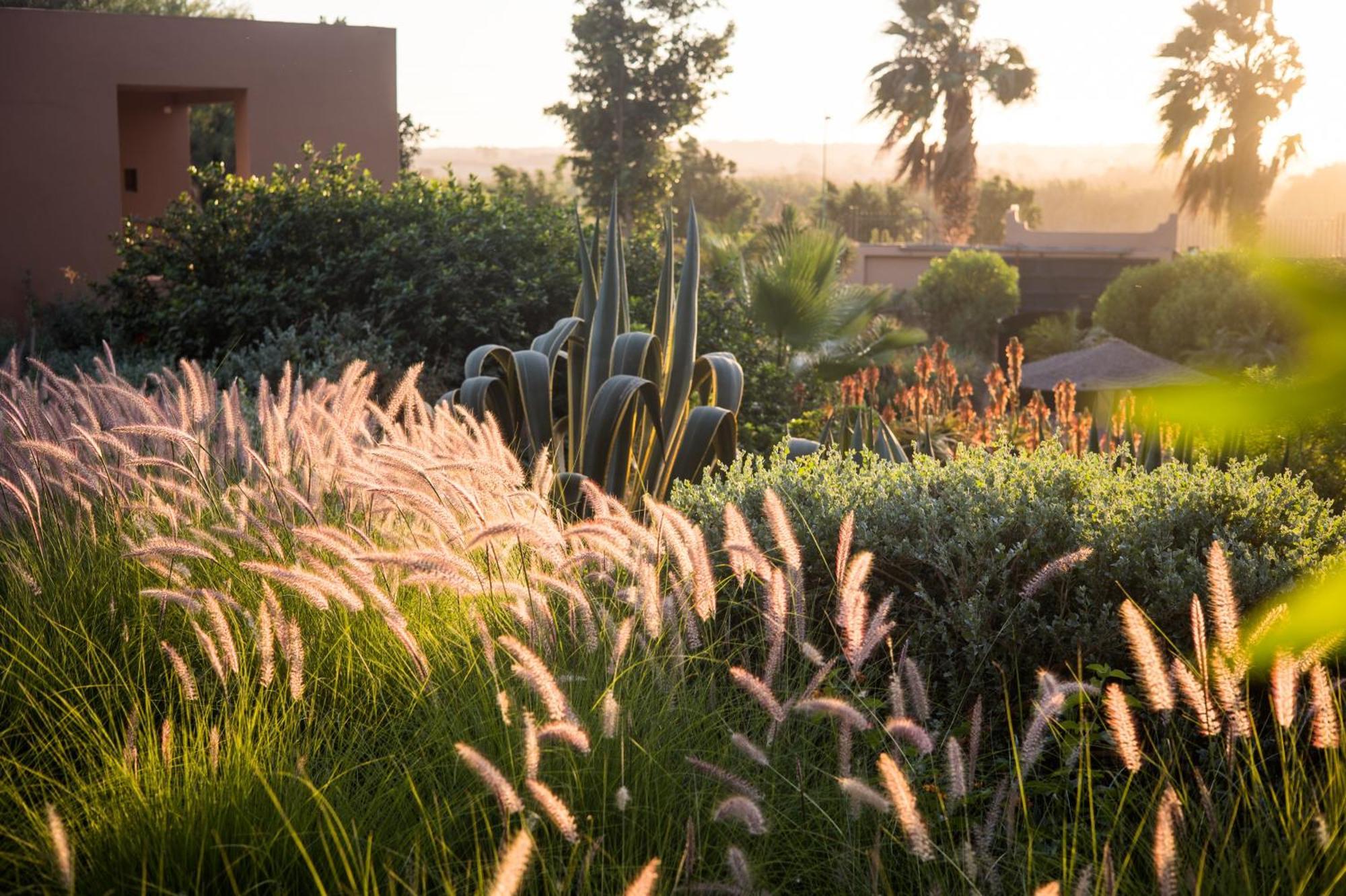 Dar Maktoub Bed & Breakfast อกาดีร์ ภายนอก รูปภาพ