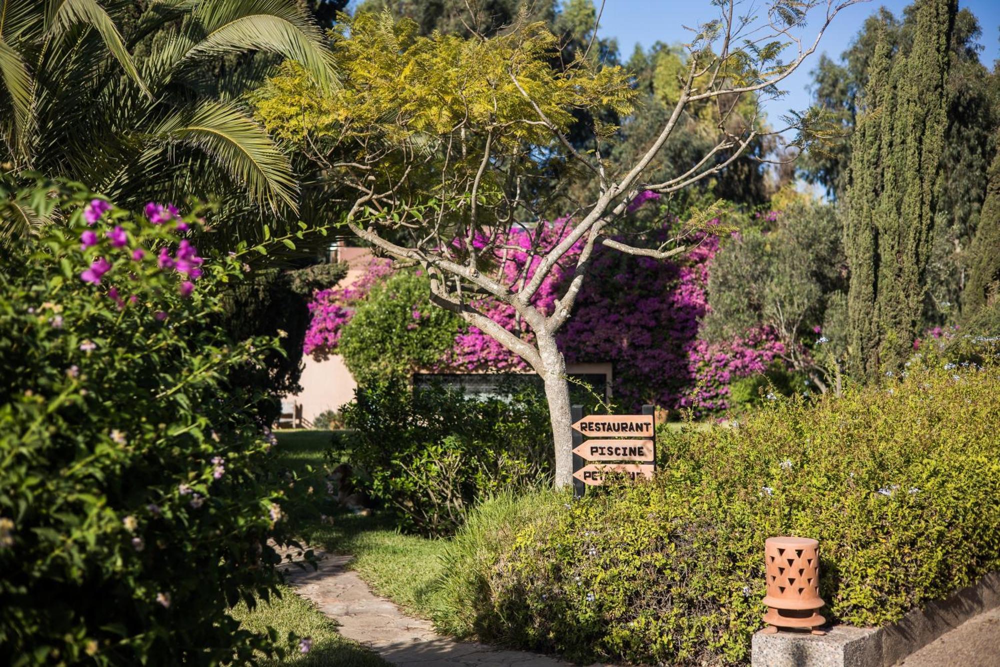 Dar Maktoub Bed & Breakfast อกาดีร์ ภายนอก รูปภาพ