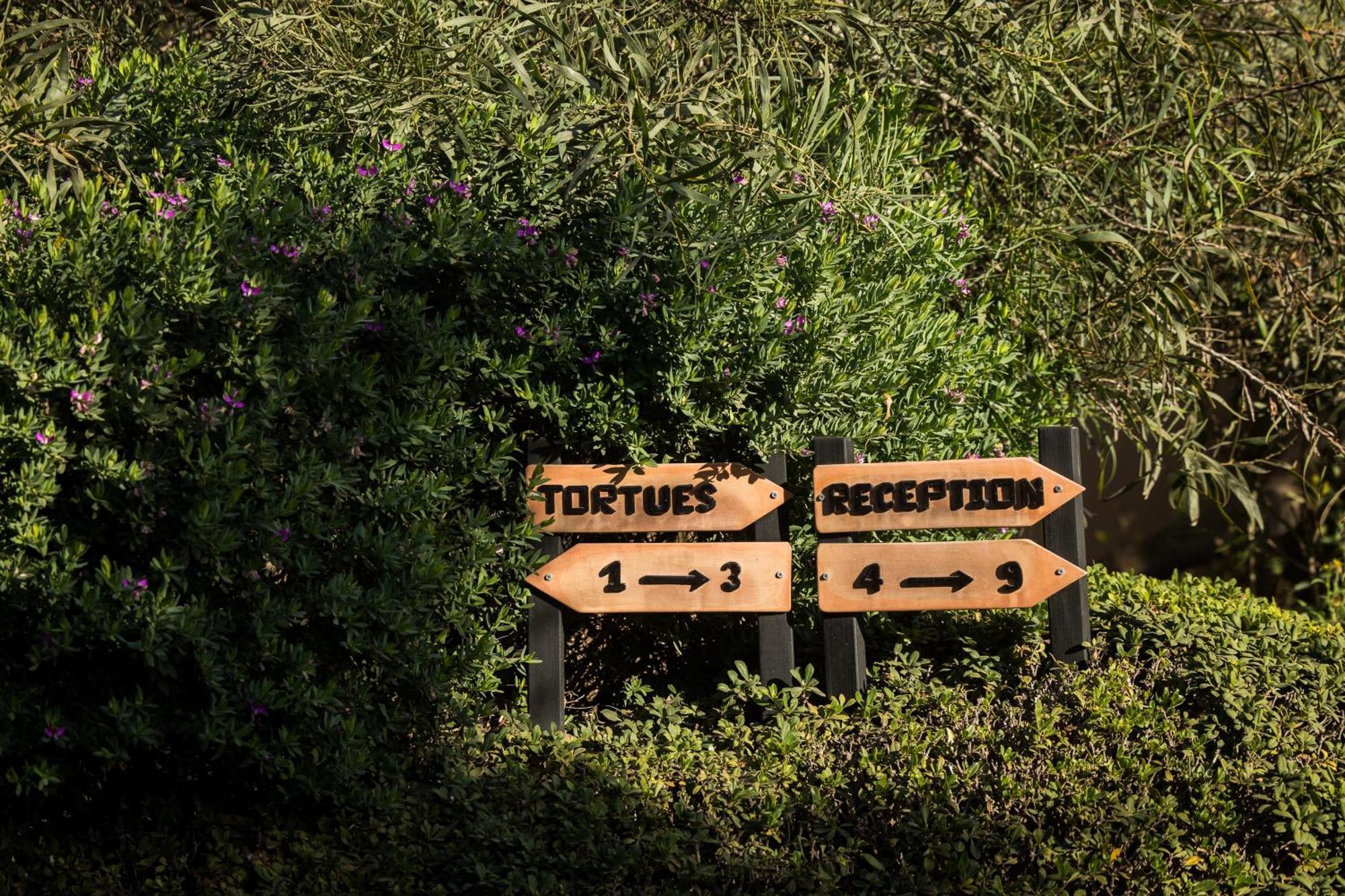 Dar Maktoub Bed & Breakfast อกาดีร์ ภายนอก รูปภาพ