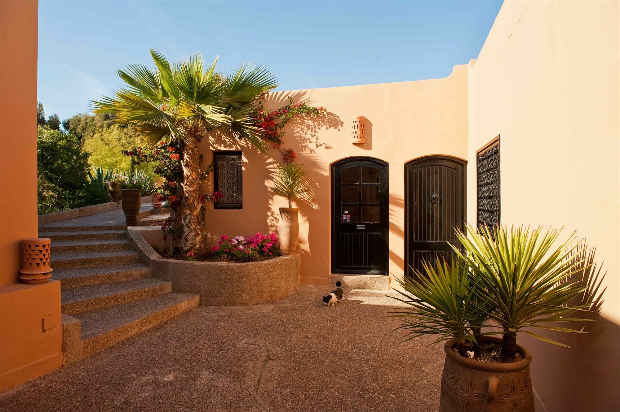 Dar Maktoub Bed & Breakfast อกาดีร์ ภายนอก รูปภาพ